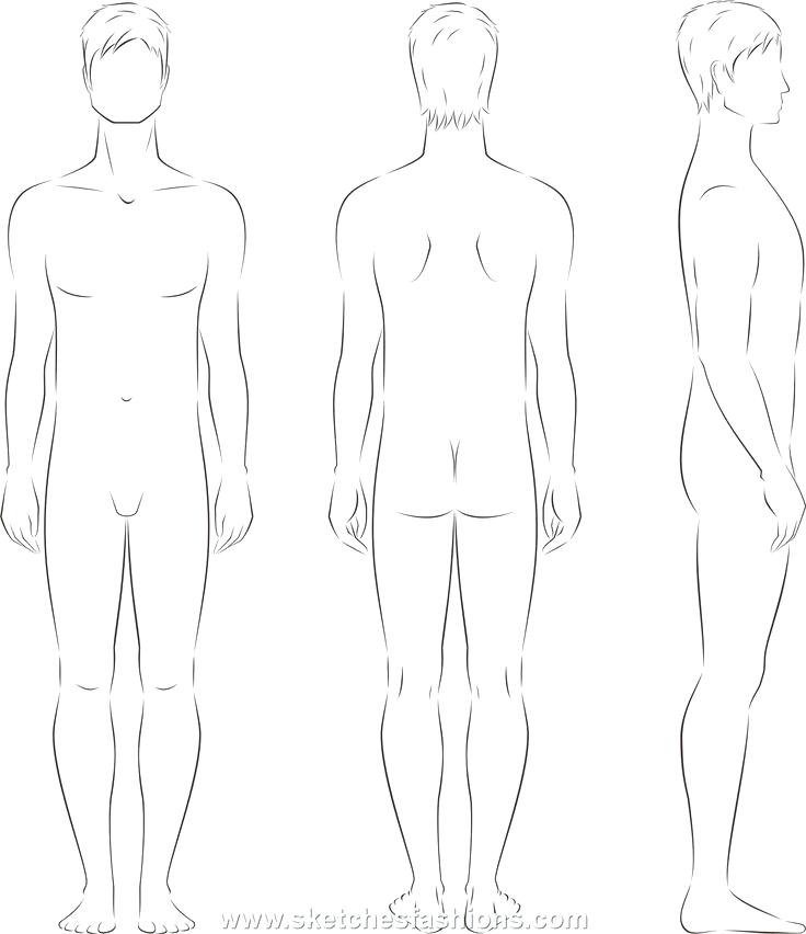 736x852 Body Sketch Human Skeleton Drawing Outline Kuapp - Female Body Sketch Outline