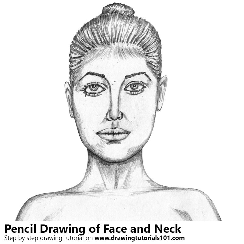 800x800 Female Face With Neck Pencil Drawing - Female Face Sketch Images