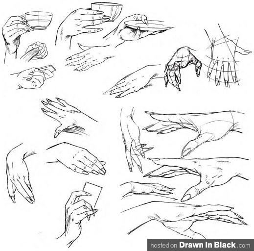 519x512 Drawing Hands Different Poses Nice Little Collection Of - Female Hand Sketch
