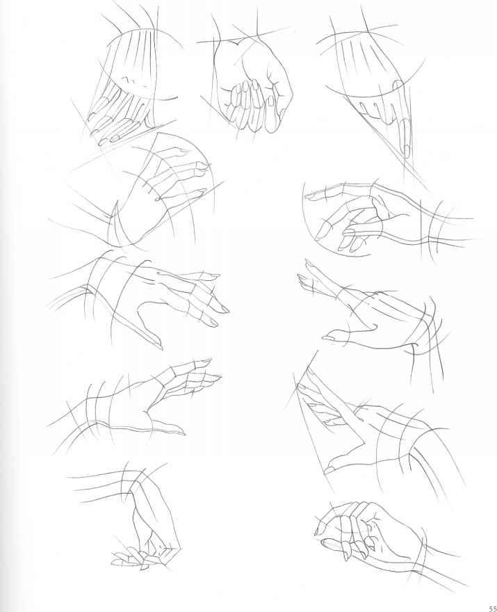 715x880 The Mouth Analysis And Structure - Female Hand Sketch