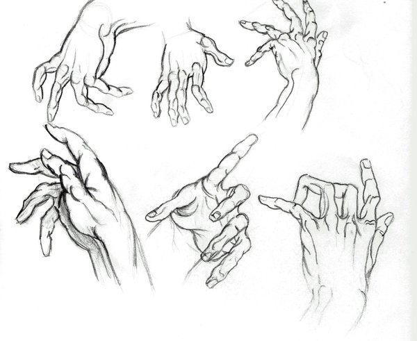600x491 Hand Sketches By Daylightdreams - Female Hand Sketch