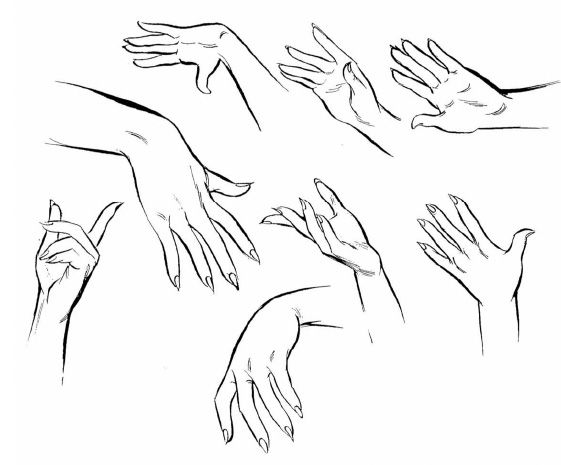 561x465 How To Draw Female Hands - Female Hand Sketch