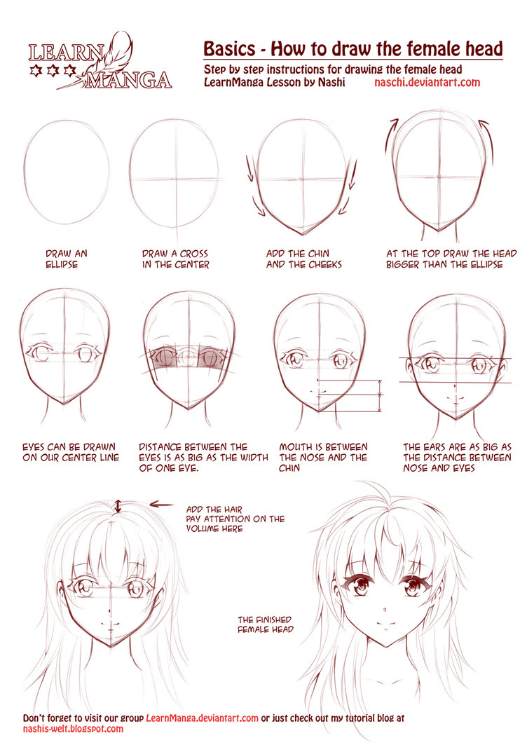 752x1063 Learn Manga How To Draw The Female Head Front By Naschi - Female Head Sketch