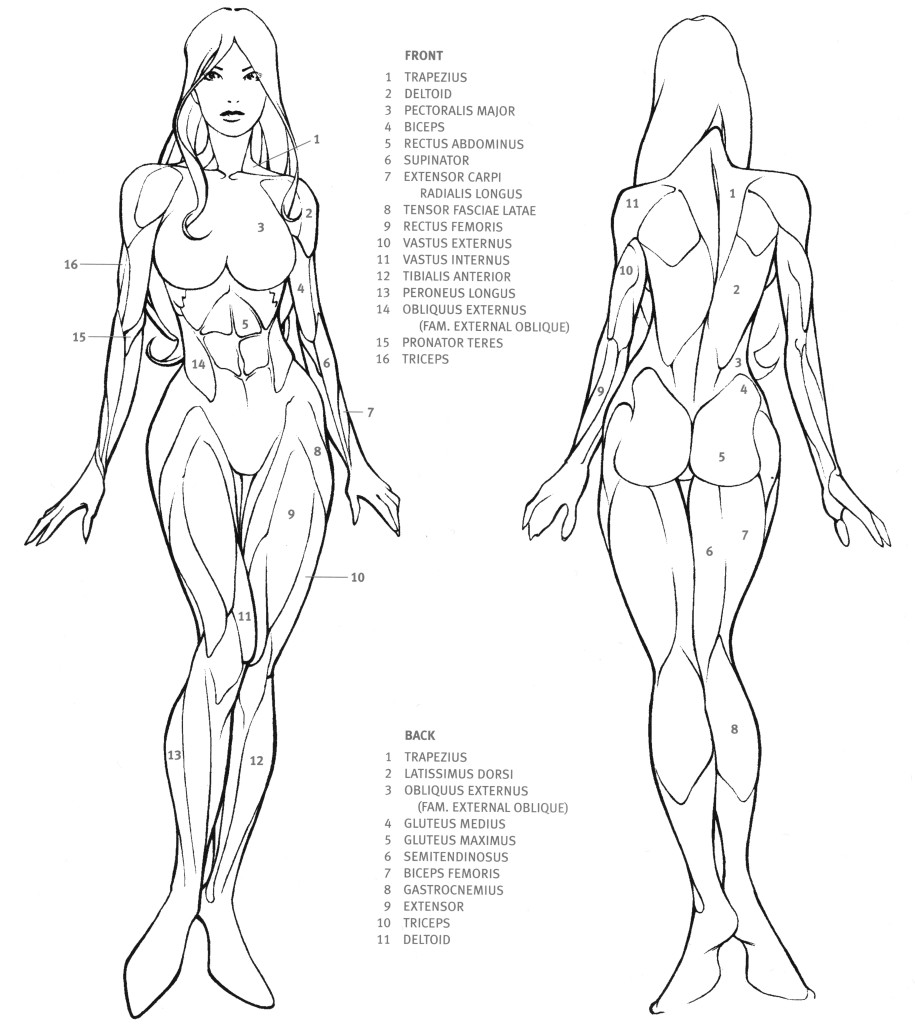 915x1024 Female Body Sketch Drawing Skill - Female Human Body Sketch