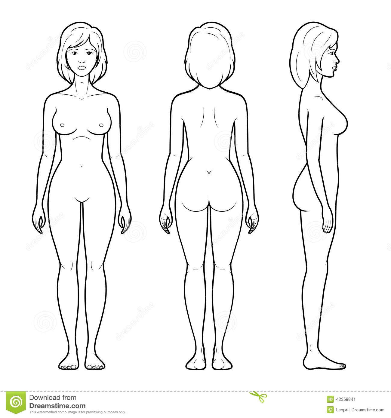 1300x1390 Images For Gt Female Human Body Outline Front And Back Things To - Female Human Body Sketch