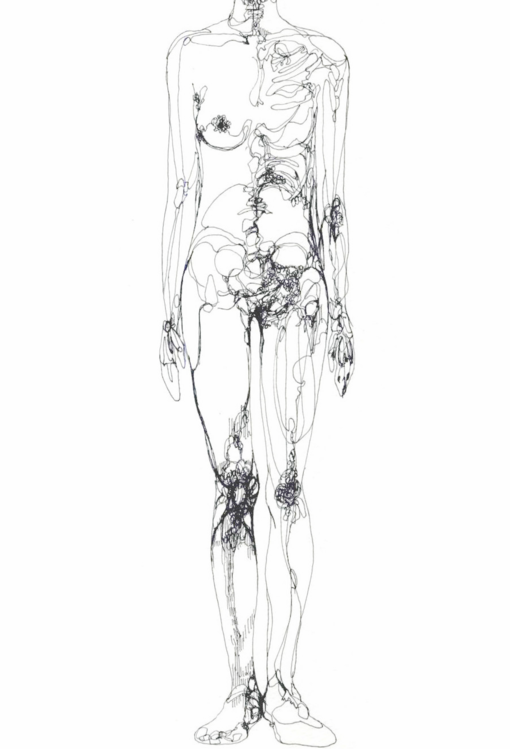 510x749 Drawing Of Human Body - Female Human Body Sketch