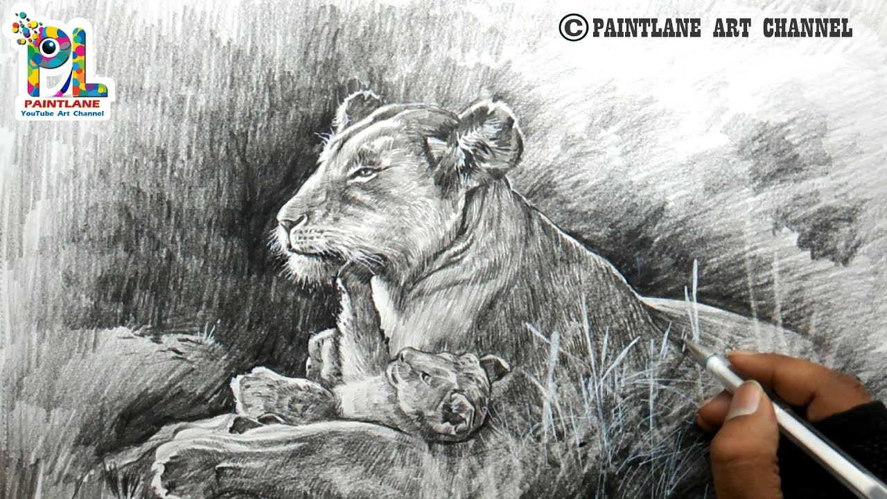 1280x720 How To Draw Female Lion And Cub Shading With Pencil Easy Pencil - Female Lion Sketch