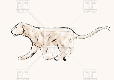 400x282 Lioness Hunting - Female Lion Sketch