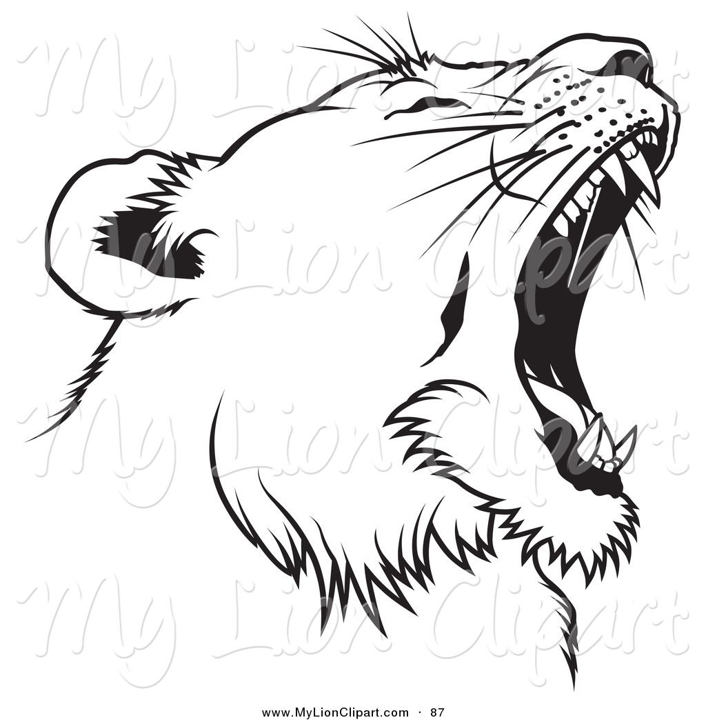 1024x1044 Mountain Lion Clipart Female Lion 4 - Female Lion Sketch