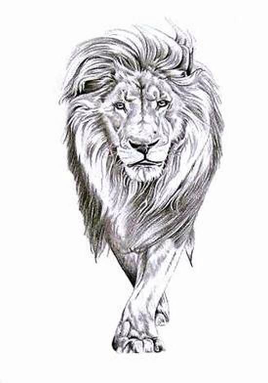 550x784 Pin By Roberto Guinea Cantero On Felinos Tattoo - Female Lion Sketch