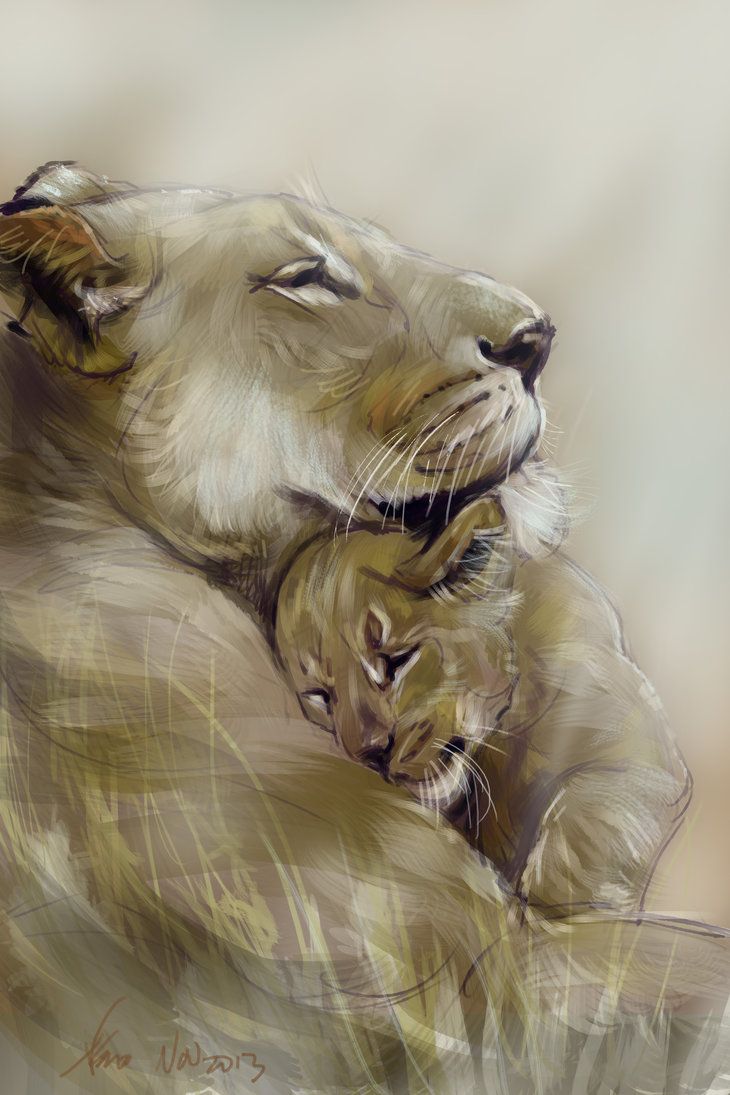 730x1095 Mandatory Daily Cat Sketch 2864 By Nosoart Tatoos - Female Lion Sketch
