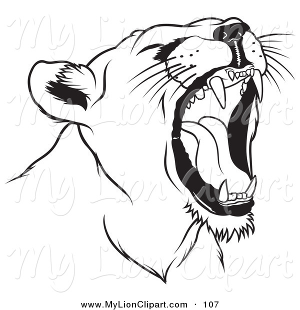 600x620 Clipart Of A Black And White Roaring Female Lion Head Facing Right - Female Lion Sketch