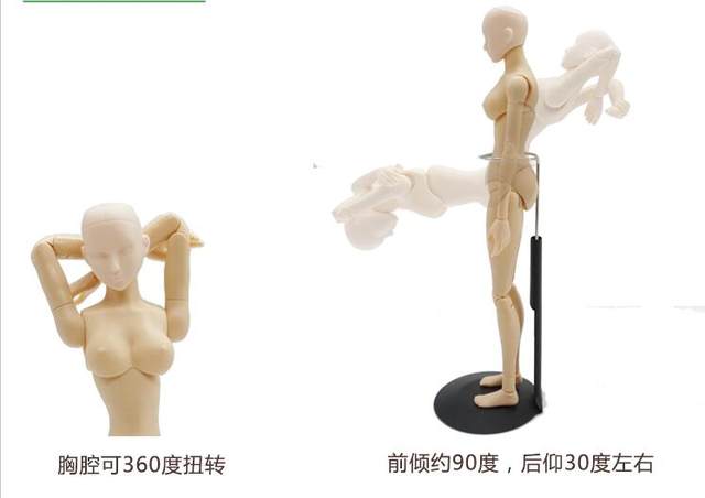 640x452 Online Shop Sketch Cartoon Drawing Female Mannequin Model Plastic - Female Mannequin Sketch