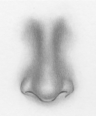 336x406 How To Draw A Nose From The Front 7 Easy Steps Rapidfireart - Female Nose Sketch