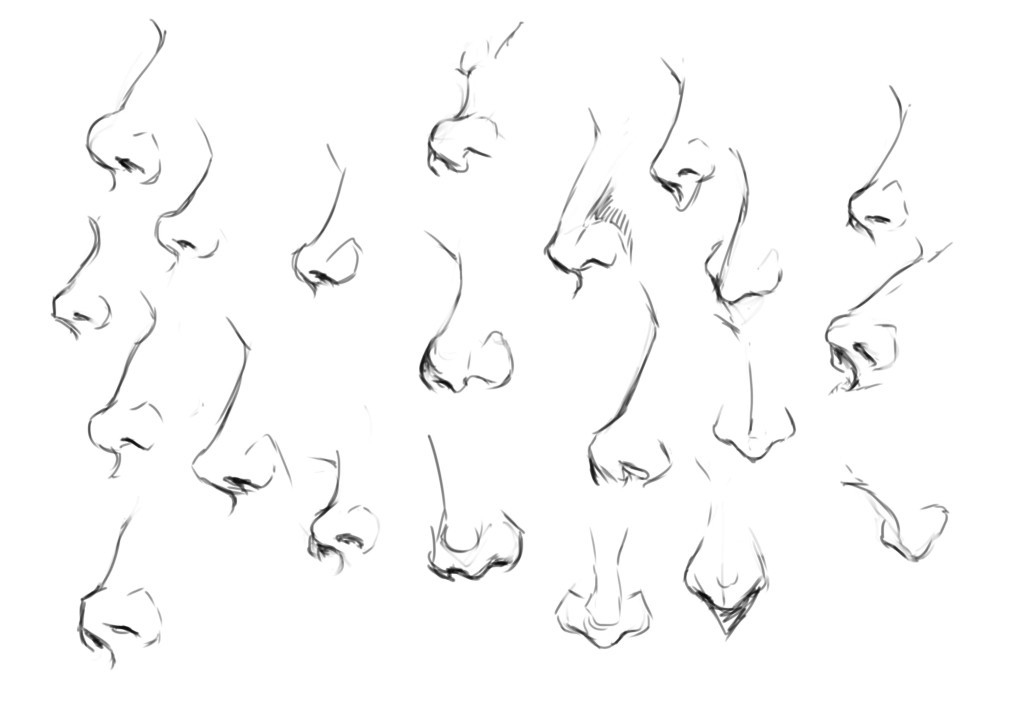 1024x712 How To Draw The Female Nose And Face Features 12 - Female Nose Sketch
