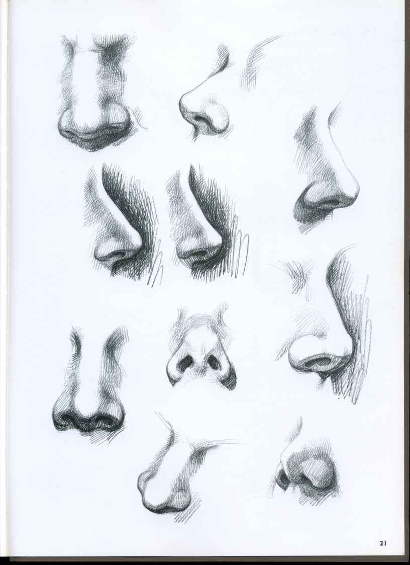 816x1123 The Nose - Female Nose Sketch