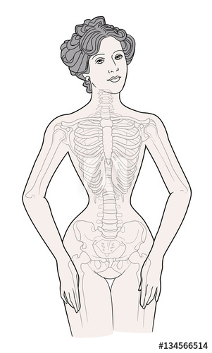 301x500 Woman After A Corset, The Deformation Of The Female Chest While - Female Skeleton Sketch