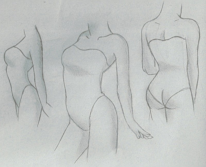 800x650 Female Torso Tutorial By Venominon - Female Torso Sketch