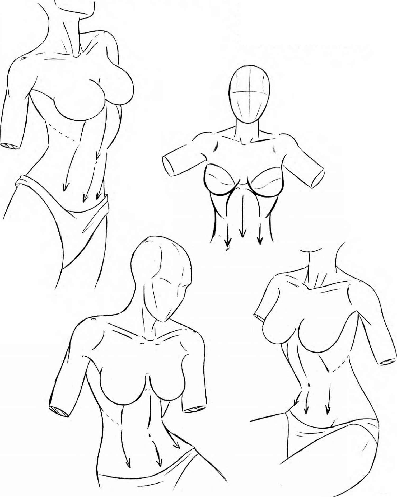 1503x1882 Thebady Inprnfhe - Female Torso Sketch
