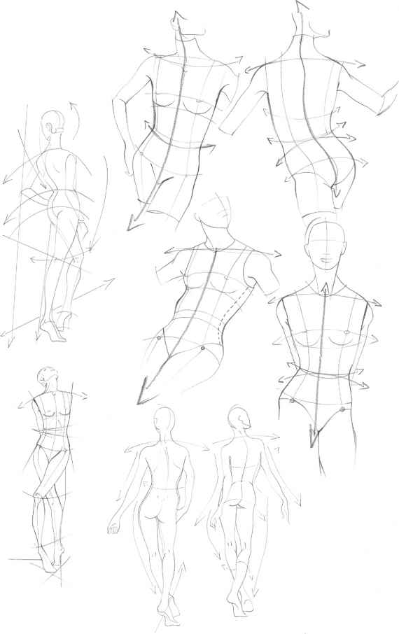 570x906 The Upper Body - Female Torso Sketch