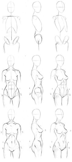 236x531 526 Best Fika Images Drawing Techniques, Drawing - Female Torso Sketch