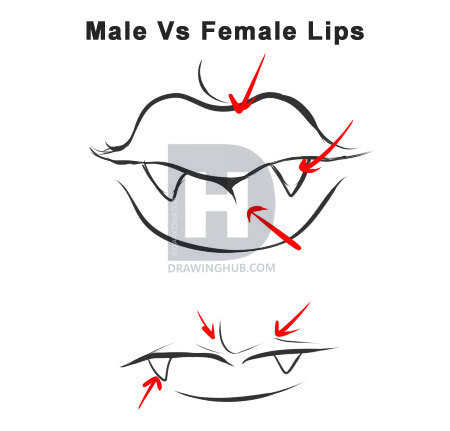 450x431 How To Draw A Vampire, Step By Step, Drawing Guide, By Darkonator - Female Vampire Sketch