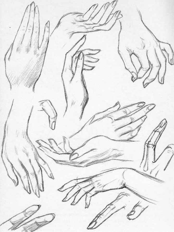 668x891 Plate The Female Hand - Feminine Sketch