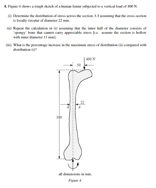 543x653 Solved 4. Figure 4 Shows A Rough Sketch Of A Human Femur - Femur Sketch