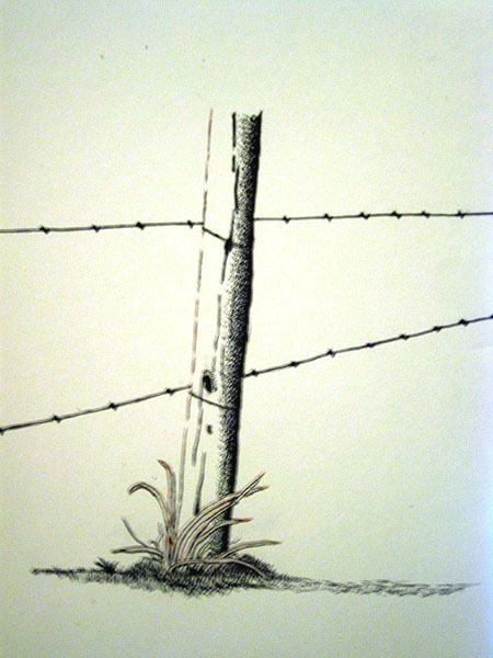450x600 Fence Sketch - Fence Sketch