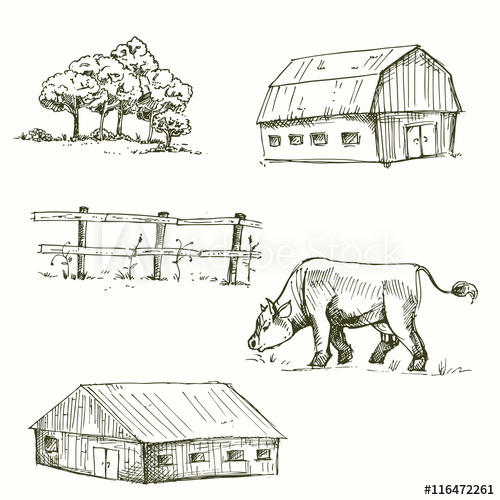 500x500 Hand Drawn Vector Illustration Of Farm, Cow, Fence, Trees, Grass - Fence Sketch