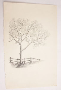 204x300 Tree Split Rail Fence Winter Ink On Paper Sketch 12x19 - Fence Sketch