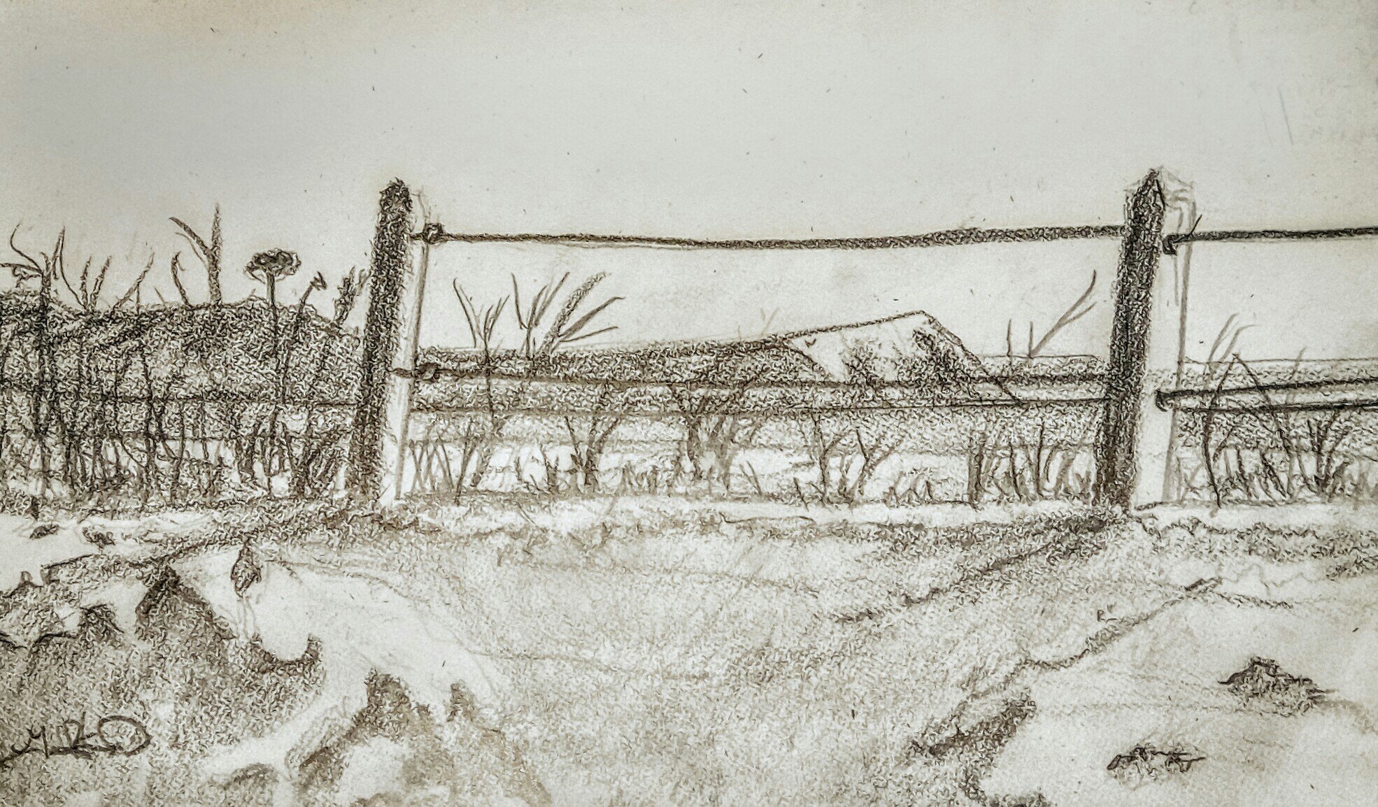 1970x1154 Urban Sketch Fence Challenge Fieldnotes - Fence Sketch
