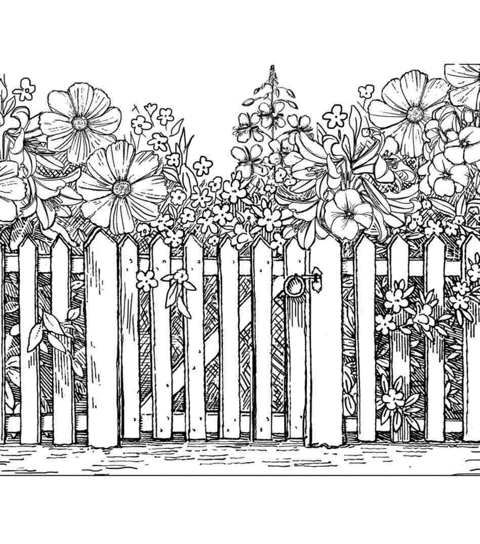 948x1074 Picket Picket Fence Sketch Fence Drawing - Fence Sketch