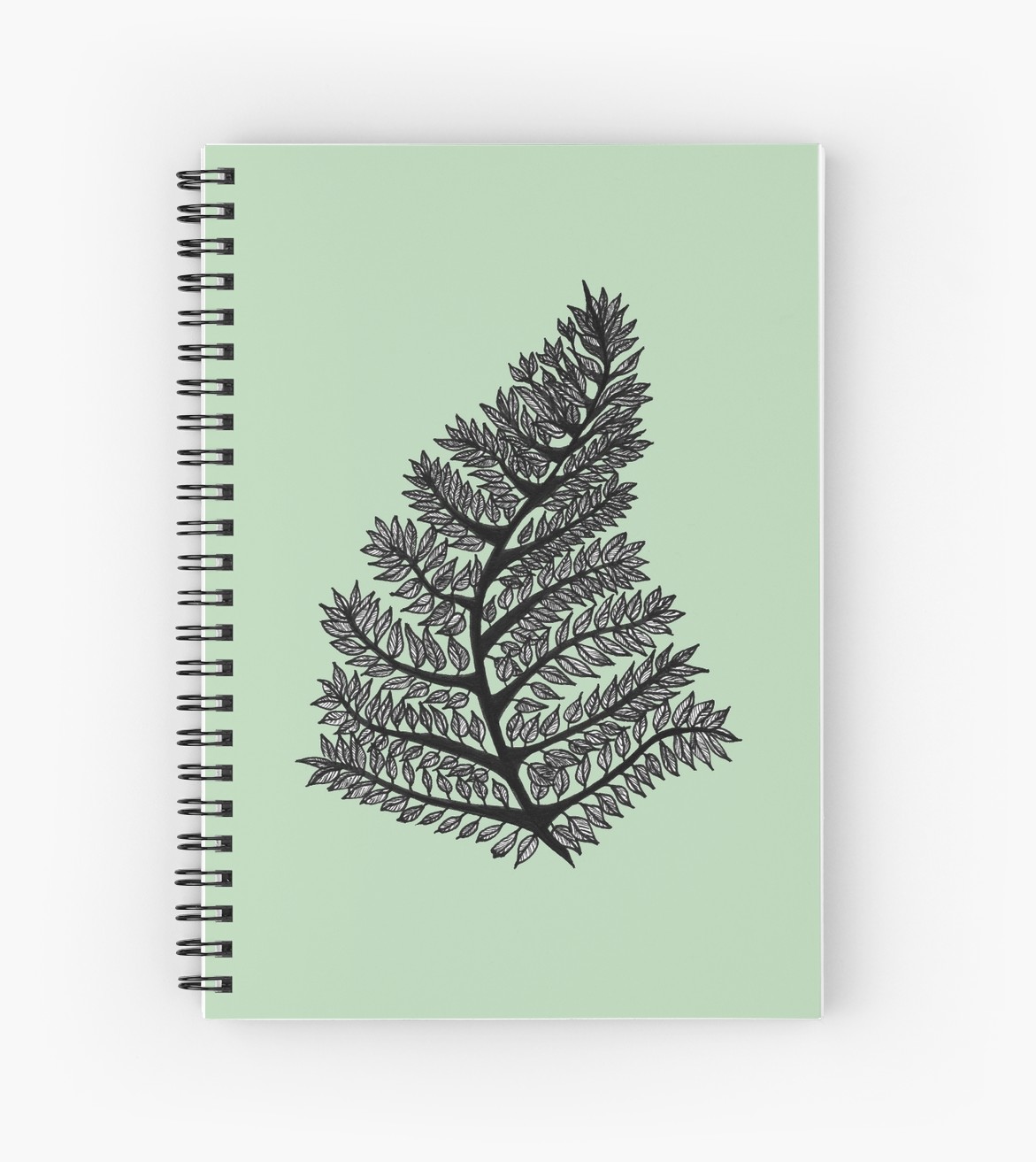 1171x1313 Fern Drawing - Fern Sketch