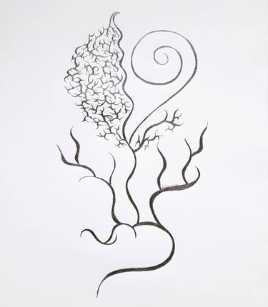 375x430 Fern Drawing By Dorota Anna Undrych Saatchi Art - Fern Sketch