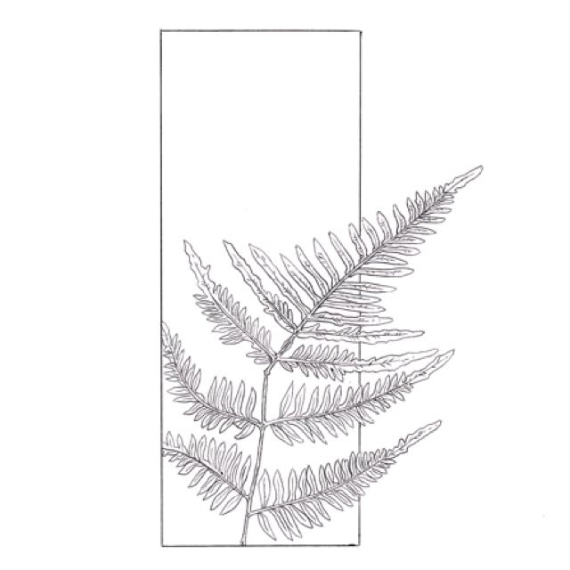 640x640 Fern Ink Drawing, Design Amp Craft, Artworks On Carousell - Fern Sketch