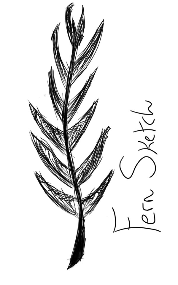 600x960 Fern Sketch By Shadowdoesarts - Fern Sketch