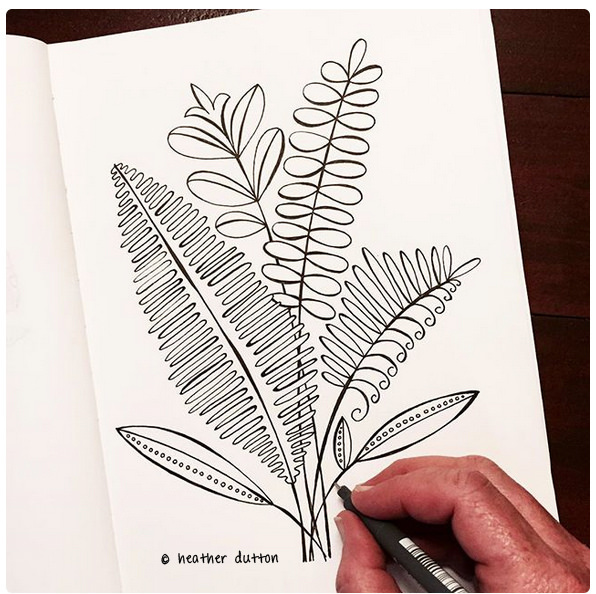 596x594 Fern Study Sketch A Little Fern Sketch Inspired By My - Fern Sketch