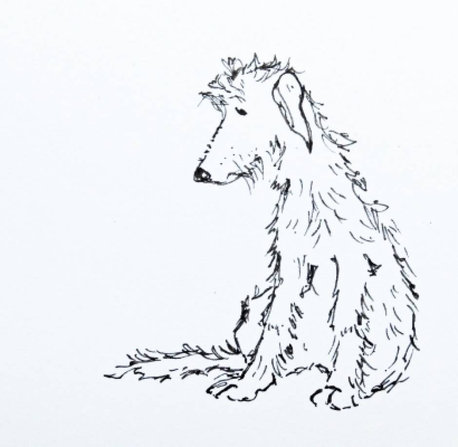 940x918 Fern Sketch - Fern Sketch