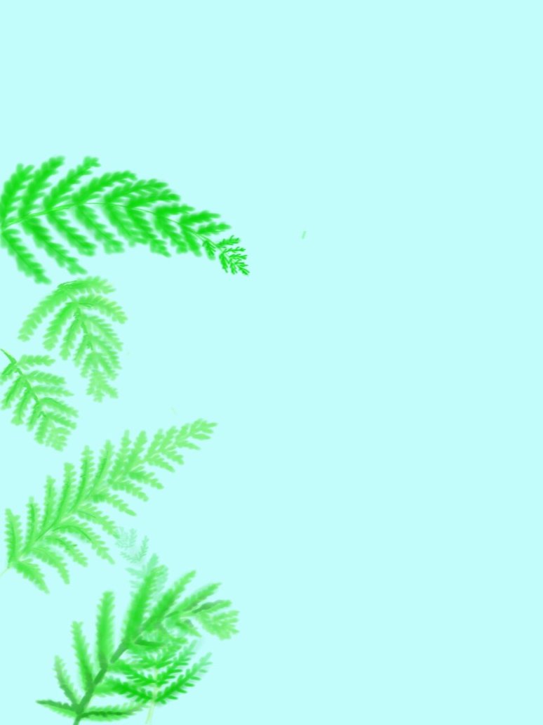 774x1032 Sketch A Fern By M Ahenell - Fern Sketch