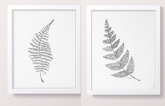 570x368 Botanical Print Set Of 2 Fern Drawing Minimalist Sketch Etsy - Fern Sketch