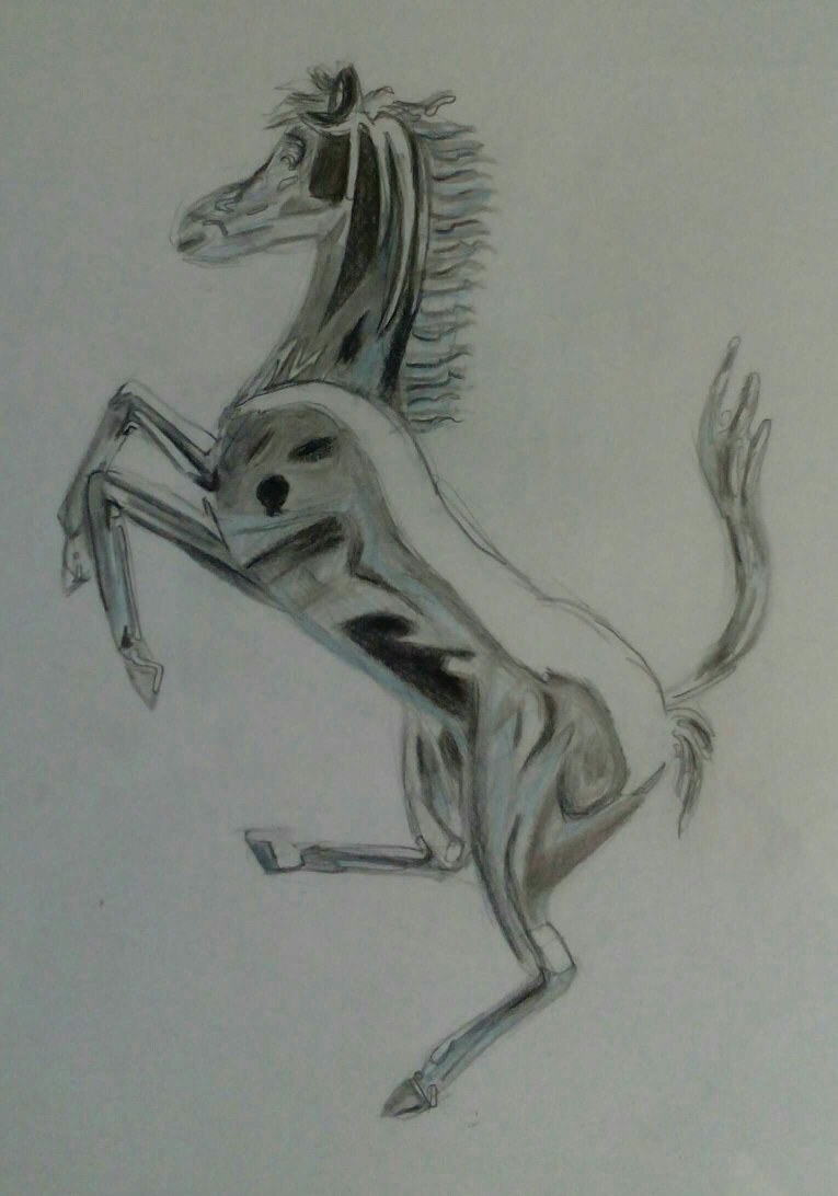 765x1092 My Attempt On Drawing A Ferrari Logo - Ferrari Logo Sketch