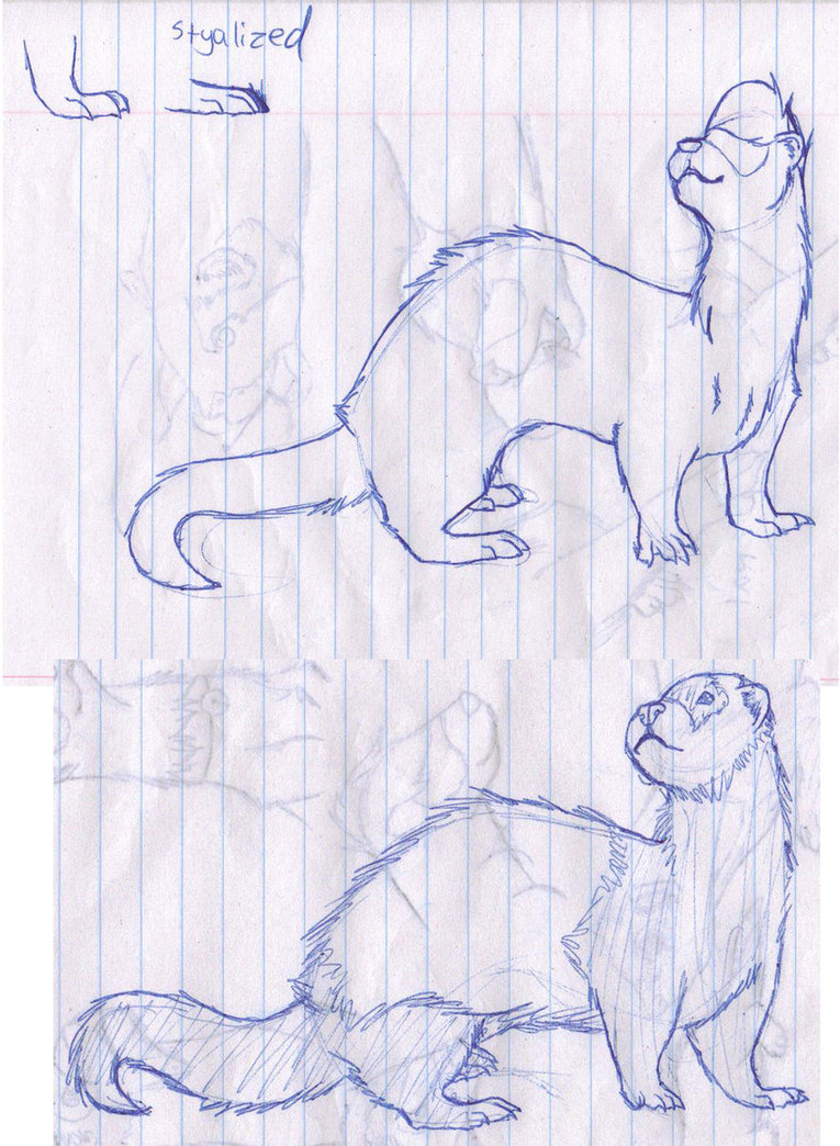 765x1044 Ferret Sketch 3 By Armoredalienartist - Ferret Sketch