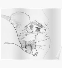 210x230 Black Pencil Sketch Ferret Drawing Posters Redbubble - Ferret Sketch