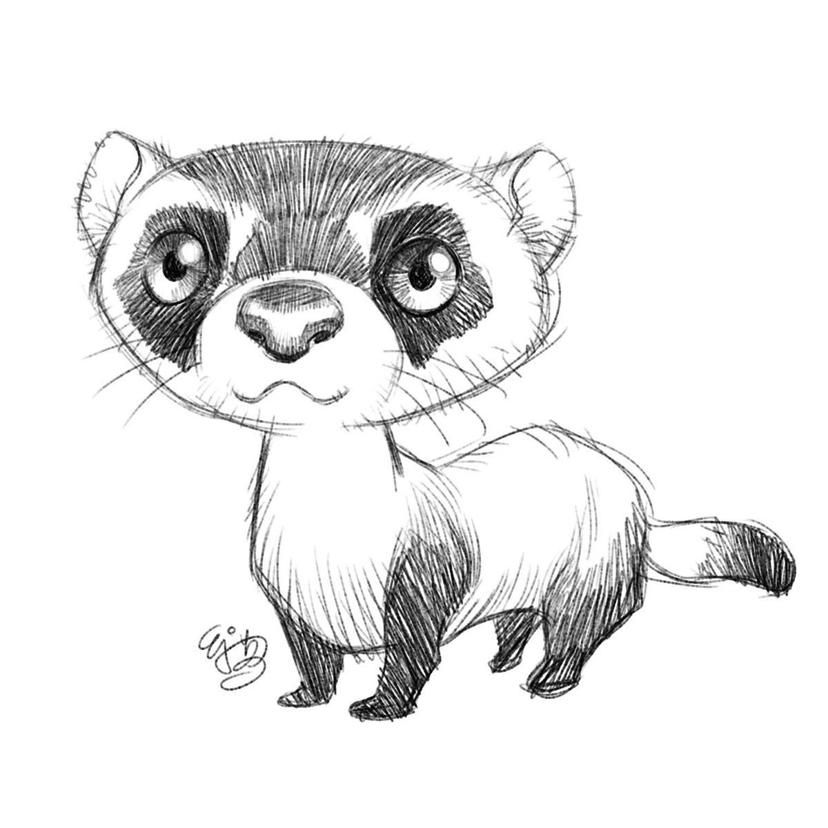 1200x1200 E.j. Su On Twitter Sketch 0045.2017.0907 Black Footed Ferret - Ferret Sketch