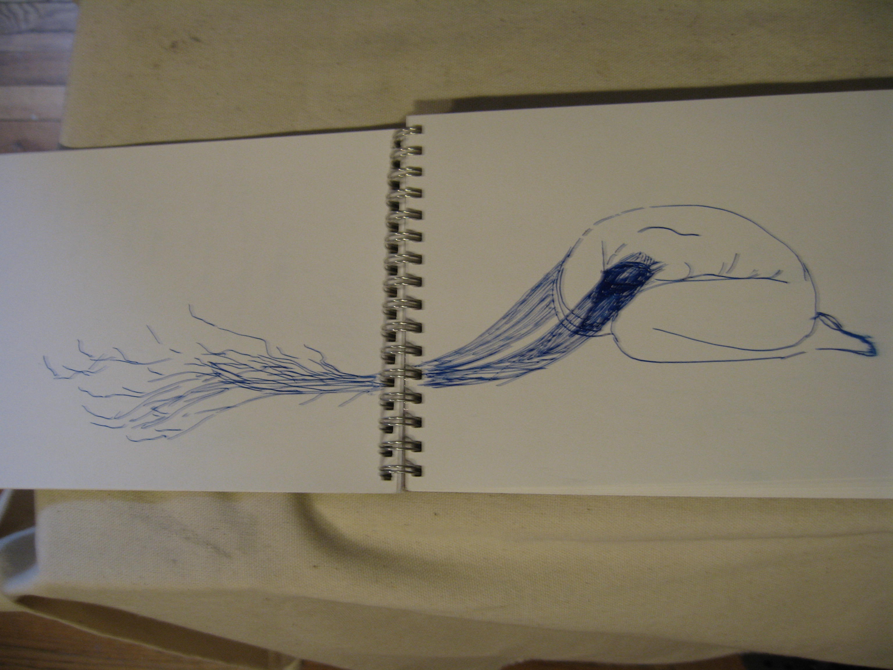 3072x2304 Sketch For New Idea By Lina Interwoven Icons And Ideas - Fetal Position Sketch