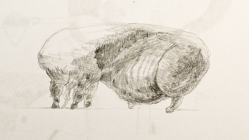 960x540 Fetus State Fair Tom Estlack - Fetus Sketch