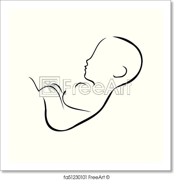 561x581 Free Art Print Of Drawing Of Fetus Inside The Womb Of Mother - Fetus Sketch