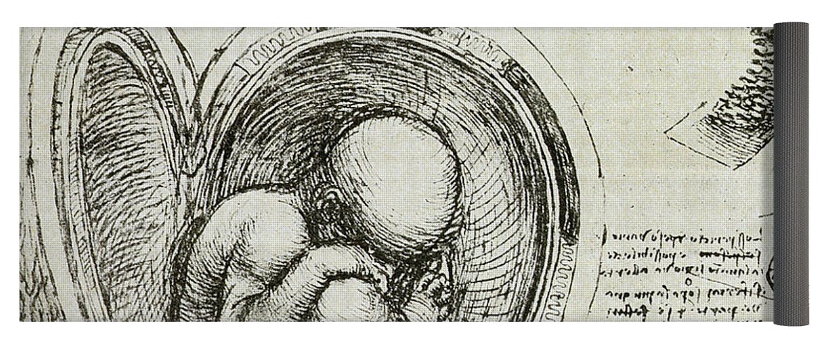 1171x500 The Human Fetus In The Womb Yoga Mat For Sale By Leonardo Da Vinci - Fetus Sketch
