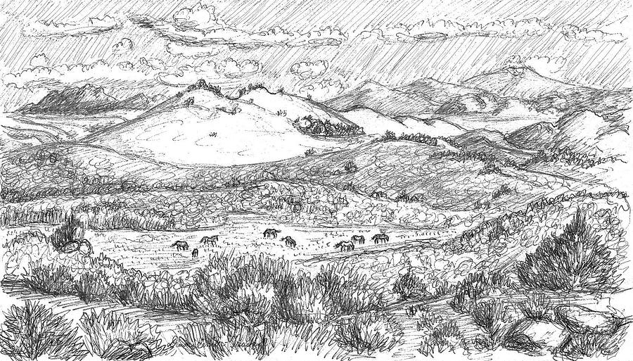 900x513 Horses On Summer Range Field Sketch Photograph By Dawn Senior Trask - Field Sketch